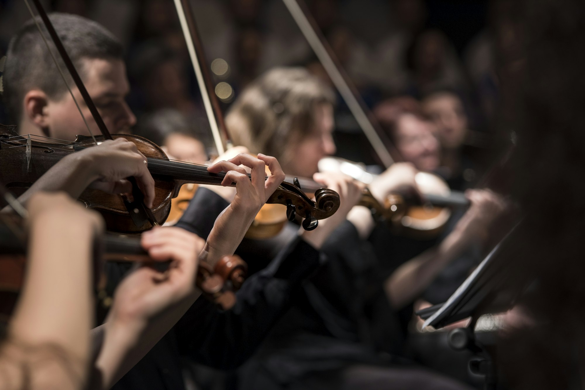 Primo Piano del Direttore d'Orchestra
